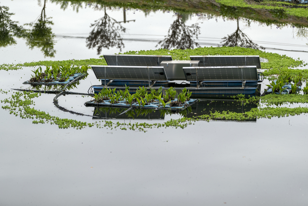 【财眼观两会】从能控到碳控！政府工作报告这一调整意义重大(图1)
